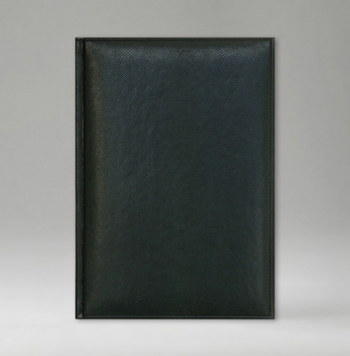 Ежедневник, датированный, Классик, белая, золотой срез, 17х24 см, фиксированный, Дели, зеленый
