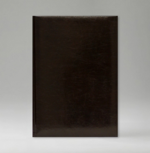 Ежедневник, датированный, Классик, белая, золотой срез, 17х24 см, фиксированный, Имидж, темно-коричневый