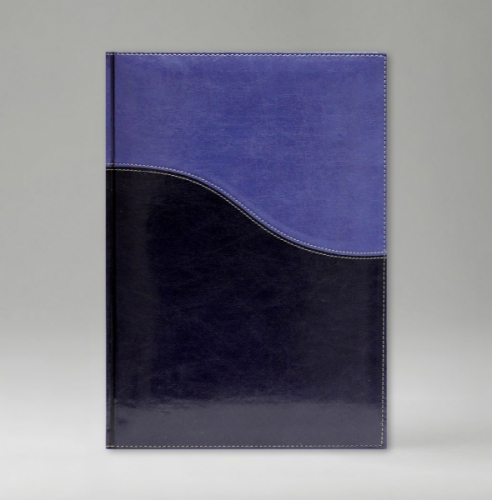 Ежедневник, датированный, Классик, белая, золотой срез, 17х24 см, фиксированный, Имидж Дуо, синий/голубой