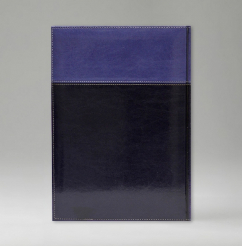 Ежедневник, датированный, Классик, белая, золотой срез, 17х24 см, фиксированный, Имидж Дуо, синий/голубой