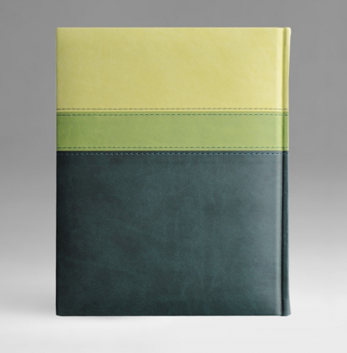Ежедневник, датированный, Классик, джалла, золотой срез, 21х29 см, фиксированный, Принт Триколор, зеленый