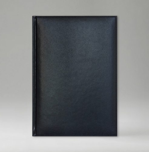 Ежедневник, датированный, Классик, белая, серебряный срез, 17х24 см, фиксированный, Дели, синий