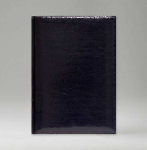 Ежедневник, датированный, Классик, белая, серебряный срез, 17х24 см, фиксированный, Имидж, синий
