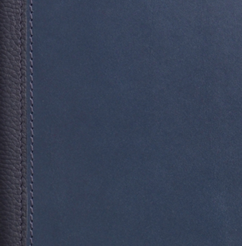 Планнинг, датированный, Классик, белая, серебряный срез, 15х38 см, портфолио, Рустик Флотур, синий