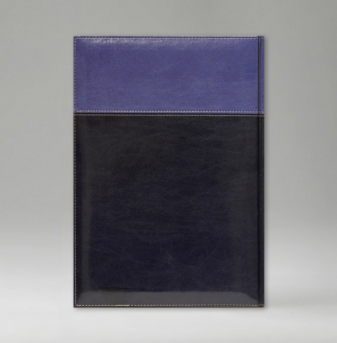 Ежедневник, датированный, Классик, белая, серебряный срез, 12х17 см, фиксированный, Имидж Дуо, синий/голубой