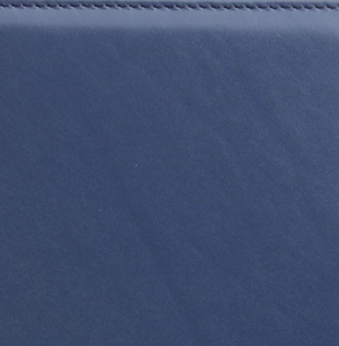 Телефонная книга, с РУС. регистром, Рубрика, белая, серебряный срез, 8х15 см, портфолио, Софти, синий