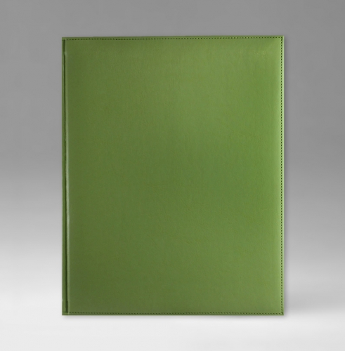 Еженедельник, датированный, Классик, белая, серебряный срез, 21х26 см, фиксированный, Небраска, светло-зеленый