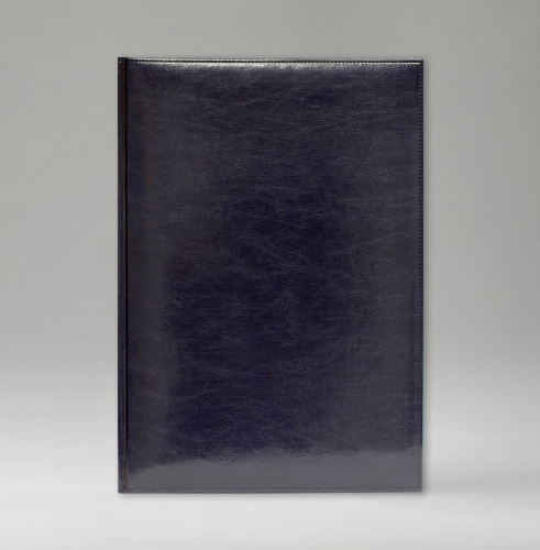 Ежедневник, датированный, Классик, белая, серебряный срез, 21х29 см, фиксированный, Имидж, синий