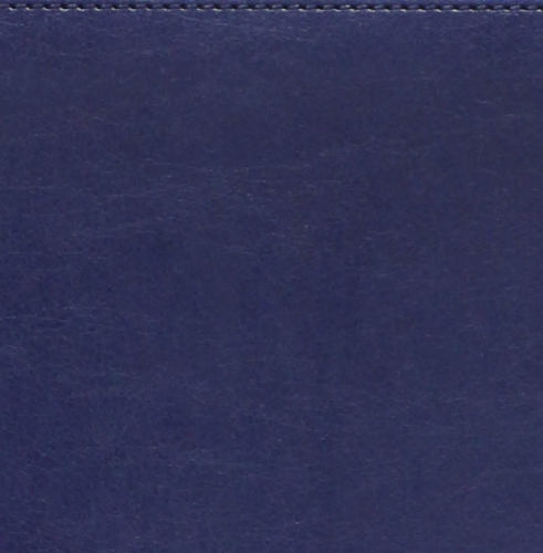 Еженедельник, датированный, Планшет, белая, 9х15,5 см, на пружине, Имидж, голубой