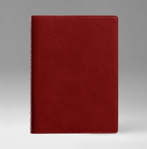 Ежедневник, датированный, Планшет, белая, 15х21 см, вайред, Имидж, бордовый