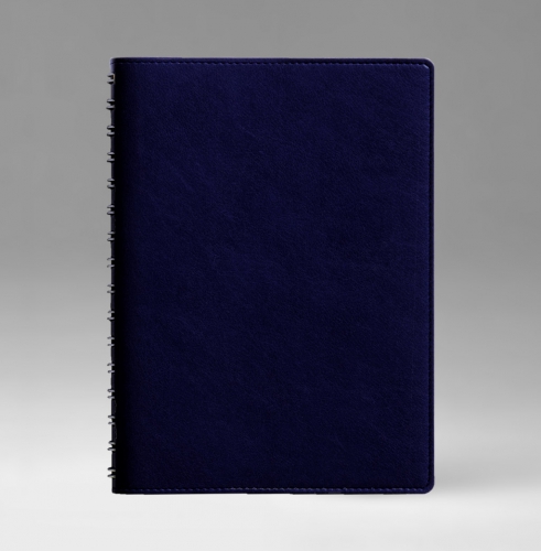 Ежедневник, датированный, Планшет, белая, 15х21 см, вайред, Имидж, синий