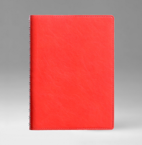 Ежедневник, датированный, Планшет, белая, 15х21 см, вайред, Имидж, красный