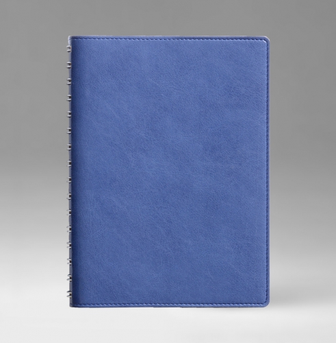 Ежедневник, датированный, Планшет, белая, 15х21 см, вайред, Имидж, голубой