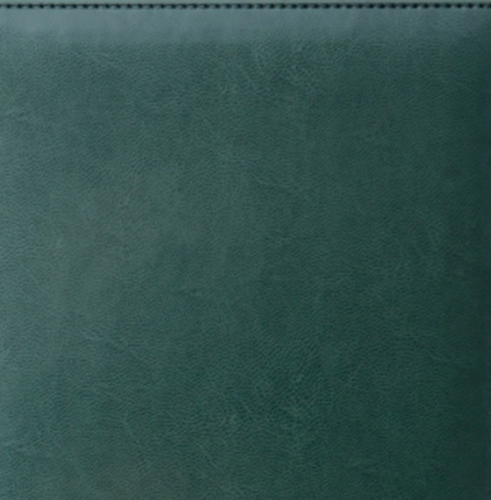 Планнинг, датированный, Планшет, белая, 21х13 см, на пружине, Каприс, зеленый