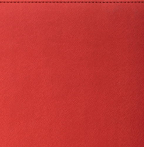 Планнинг, датированный, Планшет, белая, 21х13 см, вайред, Принт, красный