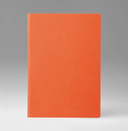 Ежедневник, датированный, Классик, белая, 15х21 см, премиум, Небраска, оранжевый