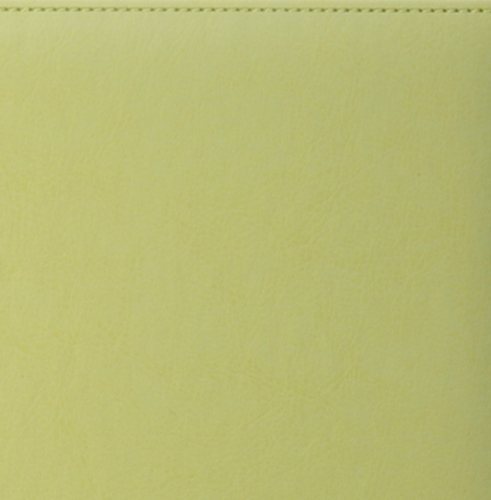 Ежедневник, датированный, Классик, джалла, золотой срез, 15х21 см, премиум эластик, Небраска, светло-зеленый