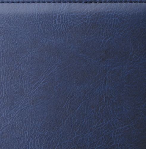 Телефонная книга, с РУС. регистром, Рубрика, джалла, 8х15 см, фиксированный, Богота, синий