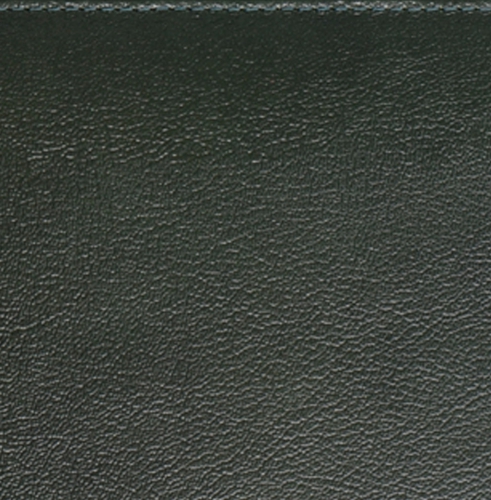 Телефонная книга, с РУС. регистром, Рубрика, джалла, 8х15 см, фиксированный, Буфало, зеленый