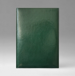 Записная книга, в клетку, Уникум, белая, 17х24 см, фиксированный, Имидж, зеленый