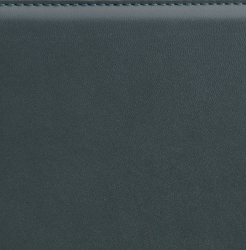 Органайзер, датированный, Классик, белая, 9х17 см, портфолио с застежкой, Рустик, зеленый